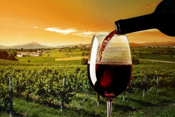 遭遇理想與現實落差 多重因素掣肘葡萄酒產業(yè)發(fā)展